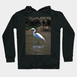 Green eyed Egret Hoodie